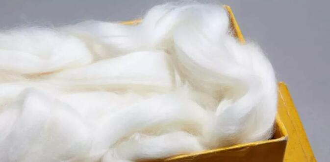 优质长绒棉棉花